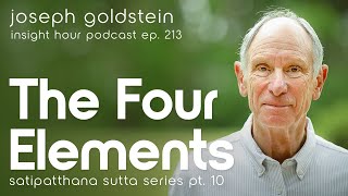 Joseph Goldstein Satipatthana Sutta Series Pt 10  The Four Elements  Insight Hour Ep 213 [upl. by Berkley]