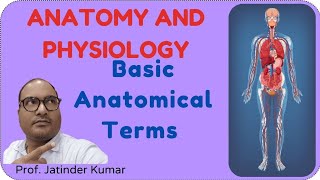 Basic Anatomical Terms [upl. by Anirahs]