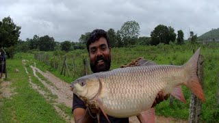 monster Rahu fish no bait 🎣 in Village catching a amazing size [upl. by Caughey641]