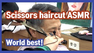 Scissors haircut ASMR [upl. by Nevear]