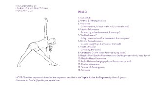 Week 3 Learning and Practicing Iyengar Yoga for Beginners [upl. by Sirret]