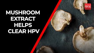 Study Mushroom extract supports clearing human papillomavirus HPV infections [upl. by Yelsehc]