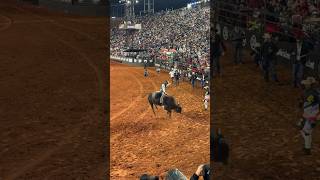 Final do Barretos International Rodeo 2024 [upl. by Thirzi]