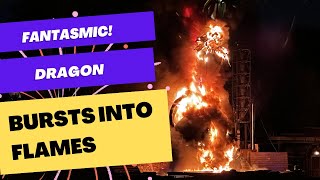 Disneyland Fantasmic Dragon Burst Into Flames  Evacuation Footage During Fire  April 22 2023 [upl. by Elleinwad312]