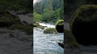 Bolton Strid  The Most Dangerous Places shorts dangerous dangerousplaces [upl. by Luthanen]