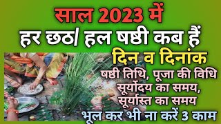 Hal chhath 2023lalahi chhath kab haiHarchat kab haiHal chhath 2023Chhath kab haiHal sasthi 2023 [upl. by Pressey]