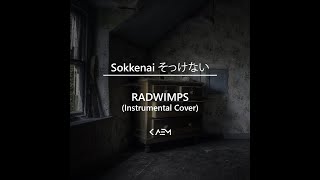 Sokkenai そっけない  RADWIMPS Instrumental Cover [upl. by Stanhope]