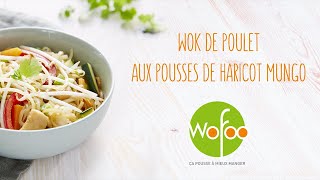 Recette Wok de poulet aux Pousses de Haricot Mungo [upl. by Ynoep]