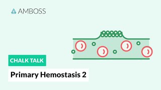 Primary Hemostasis  Part 2 Platelet Activation [upl. by Zacks457]