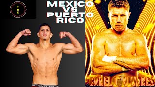 Fight week Canelo vs Berlanga [upl. by Stilu]