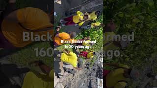 Black Rocks volcanic shoreline St Kitts  March 31 2024 [upl. by Ydderf]