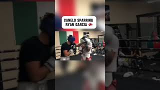 Canelo Sparring Ryan Garcia 🥊 boxing canelo ryangarcia [upl. by Draner262]