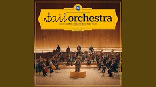 Tail Orchestra  Symphony No 1 I quotToothbrush” [upl. by Mcgregor]