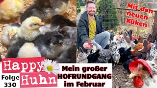 Von Kükenaufzucht bis Hühnerauslauf  Mein Hofrundgang im Februar mit neuen Küken HAPPY HUHN E330 [upl. by Rolfe78]