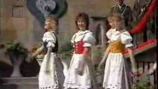 Lustige Musikanten in Prag  Moldaufinken Herz Schmerz Polka [upl. by Prisilla]