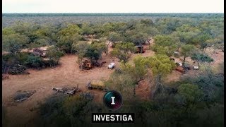 El Investiga nueva generación  Tierra devastada el negocio de los desmontes en la Argentina [upl. by Thant]