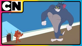 Tom amp Jerry 😺🐭 Just Cat amp Mouse Things  tomandjerry  Funny Cartoons  cnindia [upl. by Sanger79]