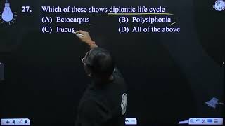 Which of these shows diplontic life cycle [upl. by Alym413]