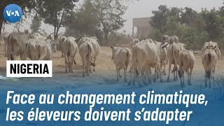 Face à la sécheresse et au changement climatique le Nigéria expérimente un projet agropastoral [upl. by Grenier]