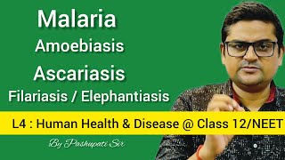 L4 Protozoan and Helminth Diseases  Malaria  Amoebiasis  Ascariasis  Filariasis  Class 12NEET [upl. by Adnarim621]