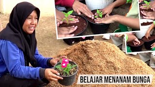 Belajar Menanam Tanaman amp LangkahLangkah Menanam [upl. by Elades295]