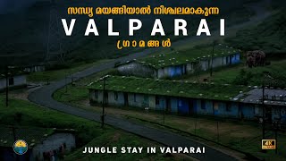 വന്യ മൃഗങ്ങൾ വിഹരിക്കുന്ന കുരങ്ങ് മുടി Valparai Night Stay at Tea Estate [upl. by Ardnuaek]