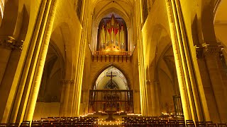 Magdeburger Dom Mayday 2015  Woody  Auferstanden aus Ruinen Nationalhymne ExDDR [upl. by Holzman]