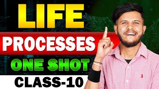 Life Processes Class 10 Science  Life Processes Complete NCERT Line By line Explanation🔥 [upl. by Lila]