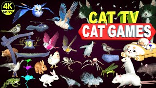 CAT GAMES ULTIMATE CAT TV COMPILATION  BEST CAT GAMES ON SCREEN  CAT amp DOG TV 4K 8 HOURS [upl. by Tab235]