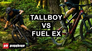 2020 Santa Cruz Tallboy vs Trek Fuel EX 99 Review  New Light Trail Bikes Head to Head [upl. by Warthman]