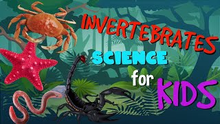 Invertebrates or Animals without Backbone  Science for Kids [upl. by Nayrda]