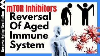 mTOR Inhibitors Human Trials  Reversal Of Aged Immune System [upl. by Schott]