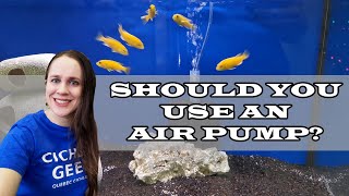 Should you use an air pump in your aquarium  How to properly oxygenate your tank [upl. by Aleacim]