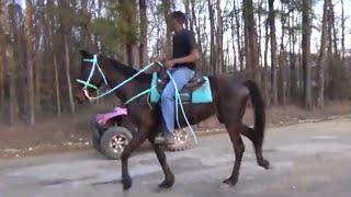 Last 3 Riders at Ashdown Arkansas Trail Ride [upl. by Siryt]