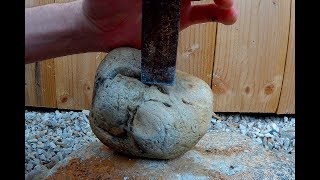 ⛏️ OUVERTURE dune GEODE marine de silex avec un fossile de bivalve [upl. by Anemix616]