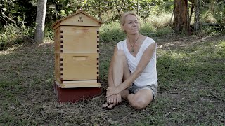 Beginner Beekeeping Ep 2  Situating your Flow™ Hive [upl. by Bilek]