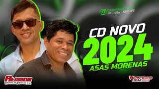 ASAS MORENAS  2024 ATUALIZADO CD NOVO 2024 MÚSICAS NOVAS [upl. by Sucramat]