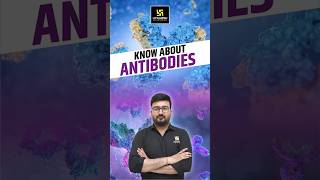 Know About Antibodies  CUET Biology biology antibodies  Shubham Sir [upl. by Petracca795]