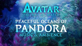 Avatar The Way of Water  Oceans of Pandora Music amp Ambience in 4K w ASMRWeeklyampWilliamMaytook [upl. by Anderson935]