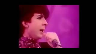 Soft Cell  Torch  ft Cindy Ecstasy Live on Tv [upl. by Cocks]