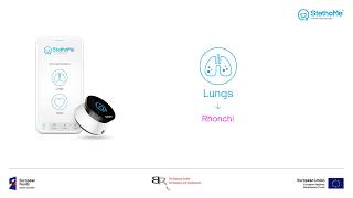 Lungs auscultation  rhonchi 4 [upl. by Buerger]