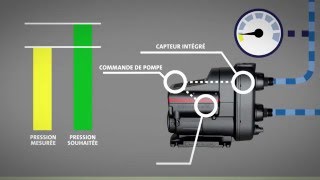 SCALA 2  Perfect Water pressure French [upl. by Airrat]