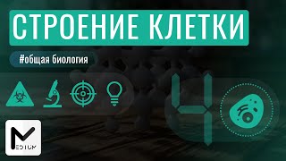 Строение клетки  ЕГЭ по биологии [upl. by Mir]