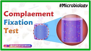 Complement Fixation test  Microbiology animations [upl. by Htidra]