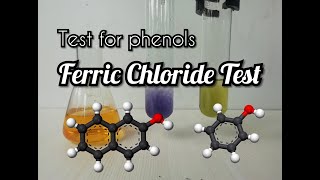 Ferric Chloride test for Phenols [upl. by Leffen]