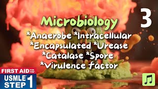 Microbiology Anaerobe Intracellular Encapsulated Ureases 2024 First Aid USMLE Step 1 [upl. by Derian]