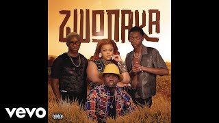 Mellow amp Sleazy DBN Gogo Dinho  Zwonaka Official Audio [upl. by Evangelina]