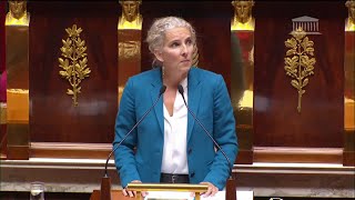 Retour en France de néonicotinoïdes  Delphine Batho saisit le conseil constitutionnel [upl. by Noitsirhc]