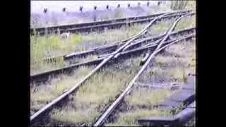 Mit der Schmalspurbahn im Juli 1991 nach Kipsdorf [upl. by Edita]