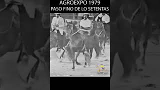 AGROEXPO 1979 EL PASO FINO DE LOS SETENTAS shortsvideo pasofino caballos horse [upl. by Dias961]